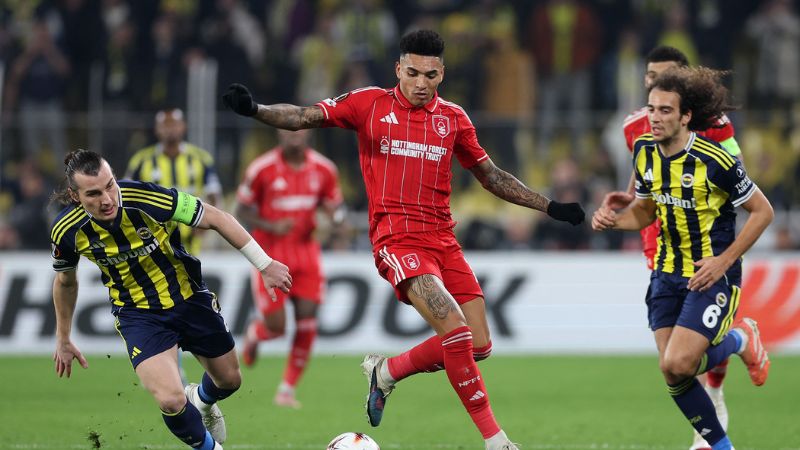 Cập nhật tình hình của Fenerbahce vs Sturm Graz
